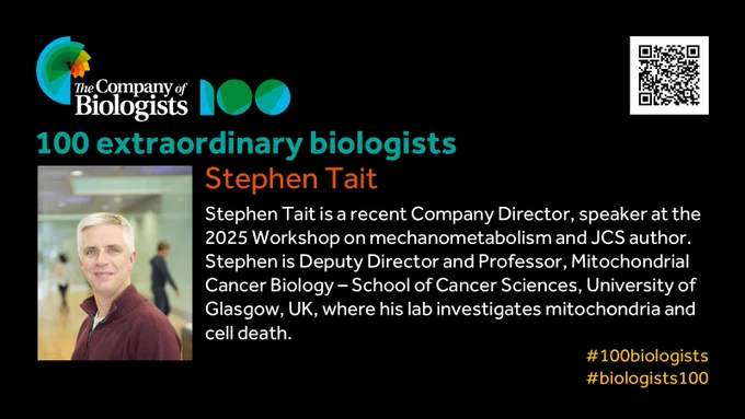The Company of Biologists 100 logo to the left and QR code to the right.
 
Portrait of Stephen Tait to the left, text to the right
 
100 extraordinary biologists

Stephen Tait

Stephen Tait is a recent Company Director, speaker at the 2025 Workshop on mechanometabolism and JCS author. Stephen is Deputy Director and Professor, Mitochondrial Cancer Biology – School of Cancer Sciences, University of Glasgow, UK, where his lab investigates mitochondria and cell death.

#100biologists #biologists100
