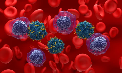 Healthy blood cells and cancer cells illustration. 