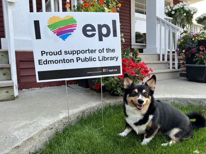 A tri-coloured corgi sitting next to a yard sign that reads "Proud supporter of the Edmonton Public Library" with a colorful heart logo, in front of a house with vibrant flower bushes.