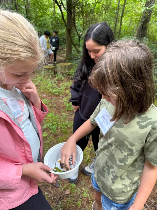 three girls stand in the woods and look down at something in their hands. there are trees and other kids in the background 