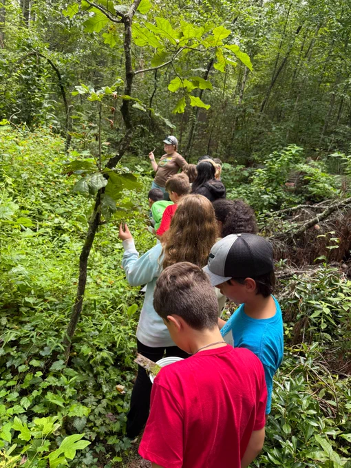 students walk up a path in the woods while surrounded by greenery and led by a mountain roots guide