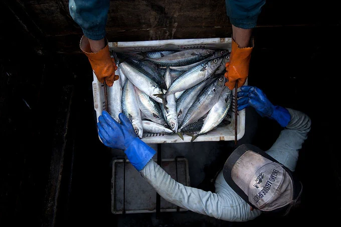 Hong Wu/Getty Images