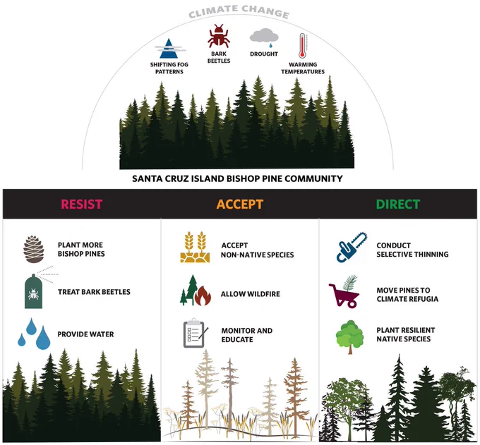 Fig. 3 A diagram illustrating management options discussed by the “Oaks and Pines” breakout group, using the Santa Cruz Bishop Pine Community as an example. Shifting fog patterns deliver reduced summer moisture, while extended heat and drought stress create conditions for pathogens like bark beetles to thrive. Participants explored the decision-making space available to managers in this scenario, from “Resisting” the trajectory of change (replacing lost pines, treating beetles, and irrigating during drought) to “Accepting” the change (allowing wildfire and nonnative species encroachment, monitoring and educating island users), to “Directing” the change (encouraging community shift to mixed chaparral with selective thinning and planting of resilient shrubs, translocating pines to enduring climate refugia).