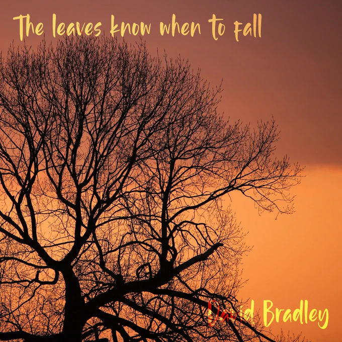 Artwork for song, shows a bare tree in silhouette against a tobacco sky

My latest song - The Leaves Know When to Fall

A bit of #funk #rock nudging towards the Nile Style

https://davebradley.bandcamp.com/track/the-leaves-know-when-to-fall