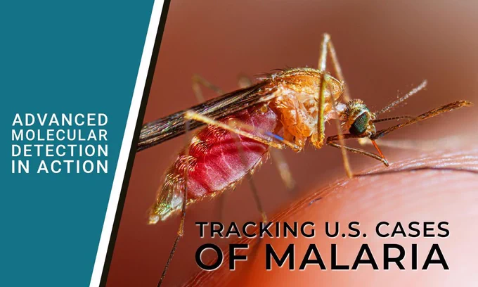 A mosquito bites a person. Text overlay states: “Advanced Molecular Detection in Action” and “Tracking U.S. Cases of Malaria”
