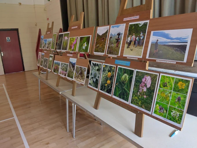 A display of photographs of plants