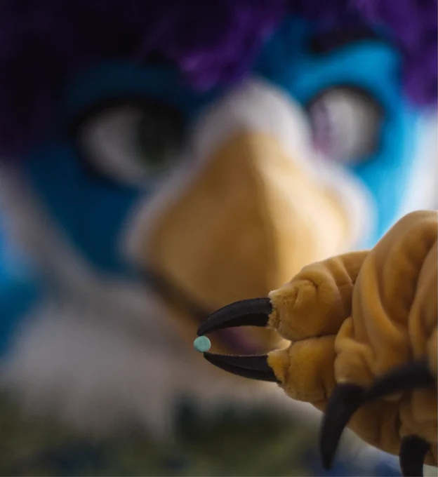 Foreground shows holding pill of estradiol in fursuit claws. Background shows my gryphon fursuit head.