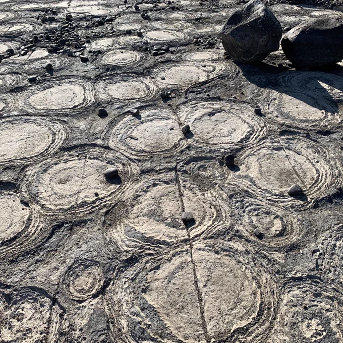 The stromatolite pavement on the bed of the Ottawa River near the Champlain Bridge in Gatineau, showing the shorn-off domes. The site is currently well exposed to access and viewing because...