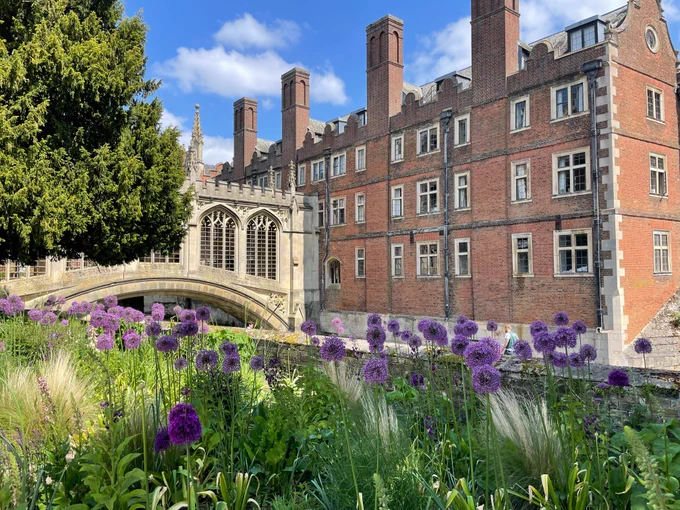 Flower border on a sunny day with the Bridge of Sighs in the background at St John's College, Cambridge