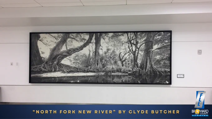 “North Fork New River” by Clyde Butcher. Image of a photograph of nature hung in the Terminal 3 and Terminal 4 connector walkway. 