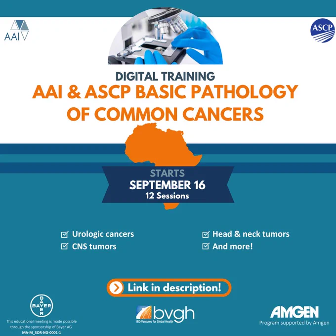 Teal, orange, and white flyer for the AAI & ASCP Basic pathology of common cancers Digital Course. Text reads 'Starts September 16, 12 sessions' underneath a photo of gloved hands placing a slide on a microscope. Next to checkboxes are the words 'Urologic cancers, CNS tumors, Head and neck tumors, and more!'. A highlighted blurb says 'Link in description'. Logos for the AAI program and ASCP are in the top corners, and in the bottom corners are the Bayer and Amgen logos. Under the Bayer logo reads "This educational meeting is made possible through the sponsorship of Bayer AG", and under the Amgen logo reads "Program supported by Amgen".