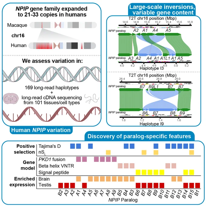 https://pubmed.ncbi.nlm.nih.gov/40848717/