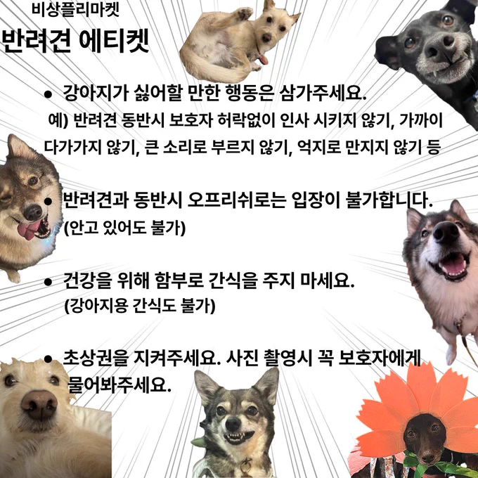 비상플리마켓 반려견 에티켓
강아지가 싫어할 만한 행동은 삼가주세요. 예시- 반려견 동반시 보호자 허락없이 인사 시키지 않기, 가까이 다가가지 않기, 큰 소리로 부르지 않기, 억지로 만지지 않기 등
반려견과 동반시 오프리쉬로는 입장이 불가합니다. (안고 있어도 불가)
건강을 위해 함부로 간식을 주지 마세요. (강아지용 간식도 불가)
초상권을 지켜주세요. 사진 촬영시 꼭 보호자에게 물어봐주세요.