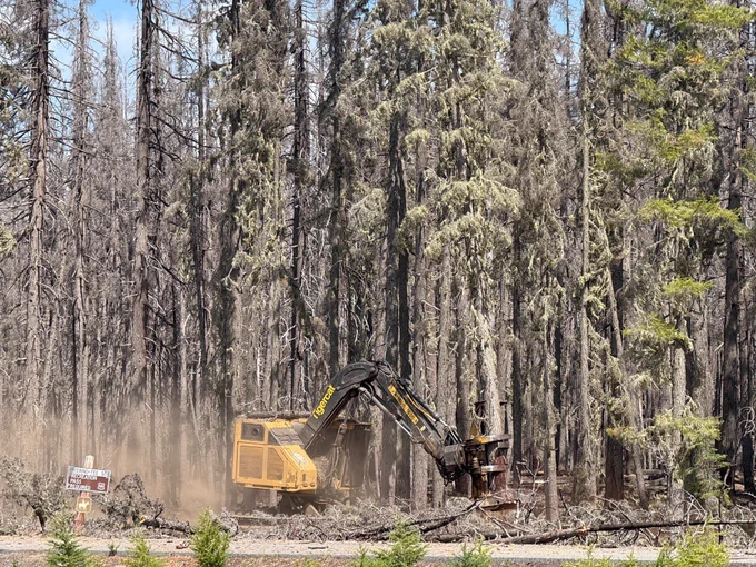 A large piece of equipment cuts down a tree.