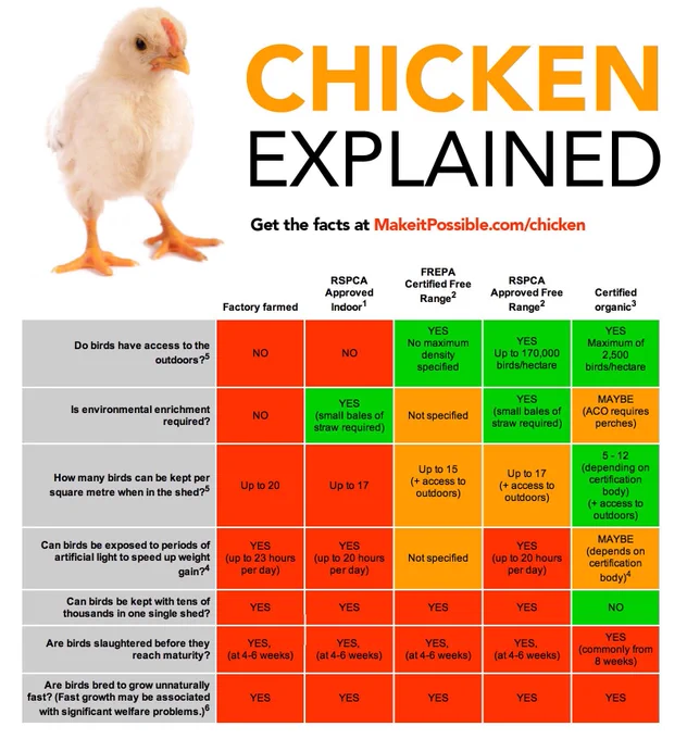 The image is an infographic titled "CHICKEN EXPLAINED" with a picture of a chick at the top left. The infographic compares different types of chicken farming practices across several categories, including Factory Farmed, RSPCA Approved Indoor, FREPA Certified Free Range, RSPCA Approved Free Range, and Certified Organic. Each farming type is evaluated across several criteria: access to the outdoors, environmental enrichment, bird density, exposure to artificial light, housing conditions, slaughter age, and growth rates.

The table uses color-coding:
- Red for negative aspects (e.g., NO access to the outdoors, NO environmental enrichment).
- Green for positive aspects (e.g., YES access to the outdoors, YES environmental enrichment).
- Some cells are orange or yellow to indicate mixed or conditional outcomes.

The text encourages readers to get more facts at "MakeitPossible.com/chicken."