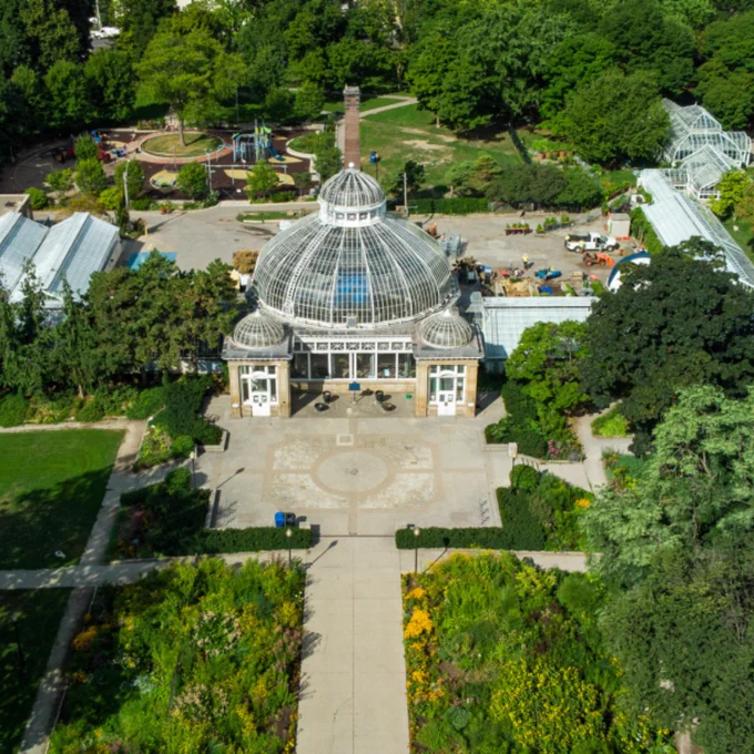 An aerial view of Allan Gardens.  
