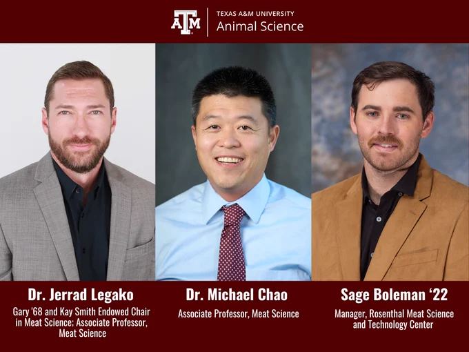 Three professional portraits of new Texas A&M University Animal Science faculty and staff members: Dr. Jerrad Legako, Dr. Michael Chao, and Sage Boleman '22, each dressed in business attire. 