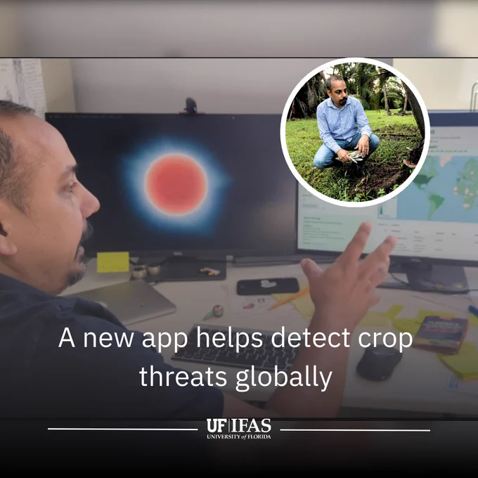 A person examines an agricultural app displaying a red spot on a globe, while an inset image shows another individual investigating crops outdoors. Text reads "A new app helps detect crop threats globally." University of Florida IFAS logo displayed.