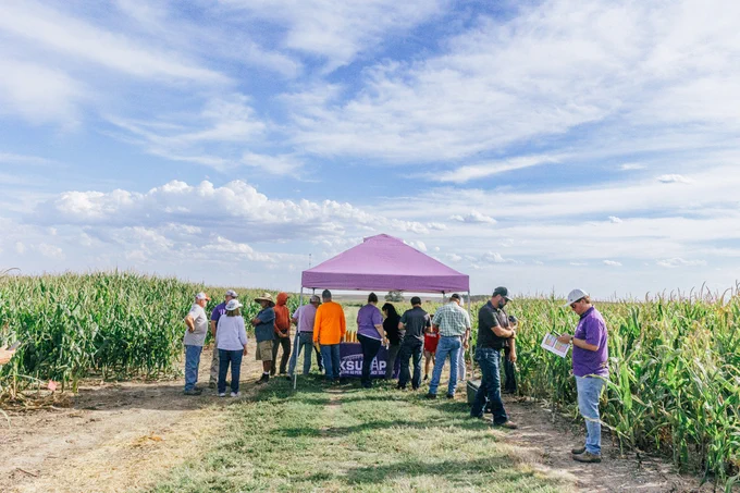 TAPS field day producers and industry partners gather in a field alleyway under a purple tent and blue sky with light clouds to look at the TAPS corn plots. 