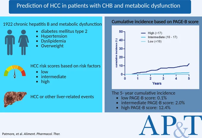 This study evaluated the performance of the PAGE-B score in HCC risk among CHB patients with metabolic dysfunction or MASLD. The PAGE-B score effectively stratified HCC risk in both MASLD and non-MASLD patients, especially in those without cirrhosis, where low scores were linked to negligible 5-year HCC risk.