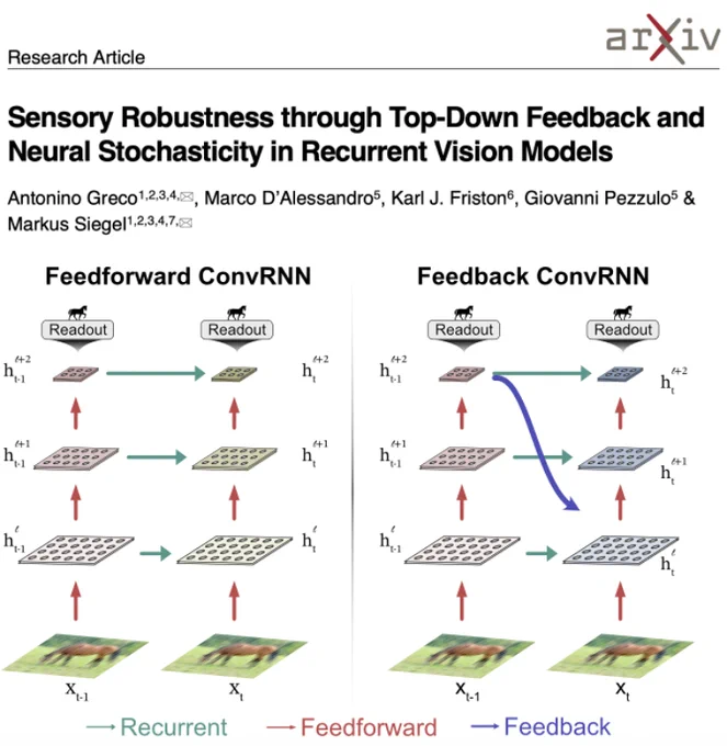 Sensory robustness through top-down feedback and neural stochasticity in recurrent vision models
https://arxiv.org/abs/2508.07115
📸Source: Antonino Greco via arxiv.org 