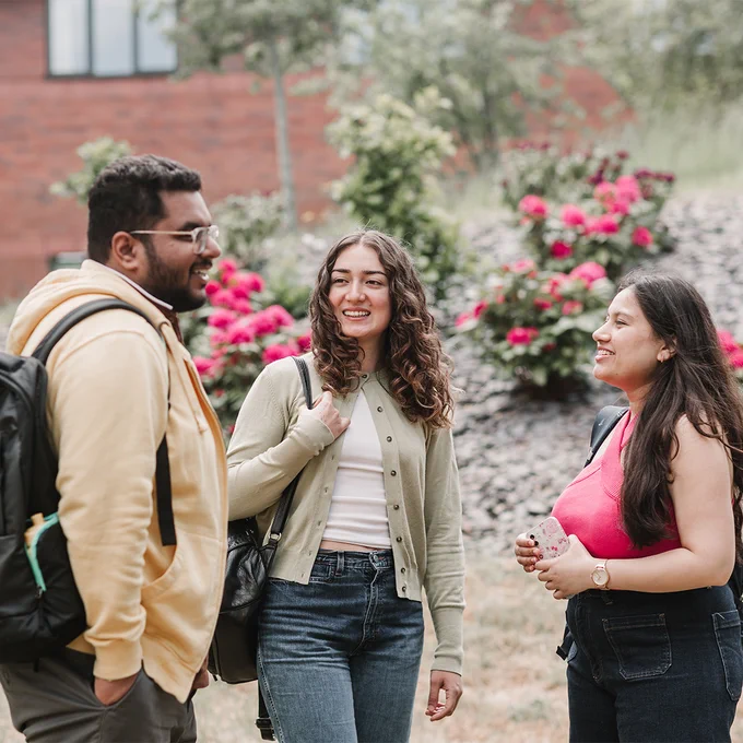 Three master's students stand outdoors near blooming pink flowers, engaged in conversation on a bright day.