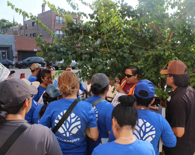 An Openlands TreeKeepers course instructor stands in front of a tree, holding a branch and teaching tree identification to a group of students in blue Openlands shirts.