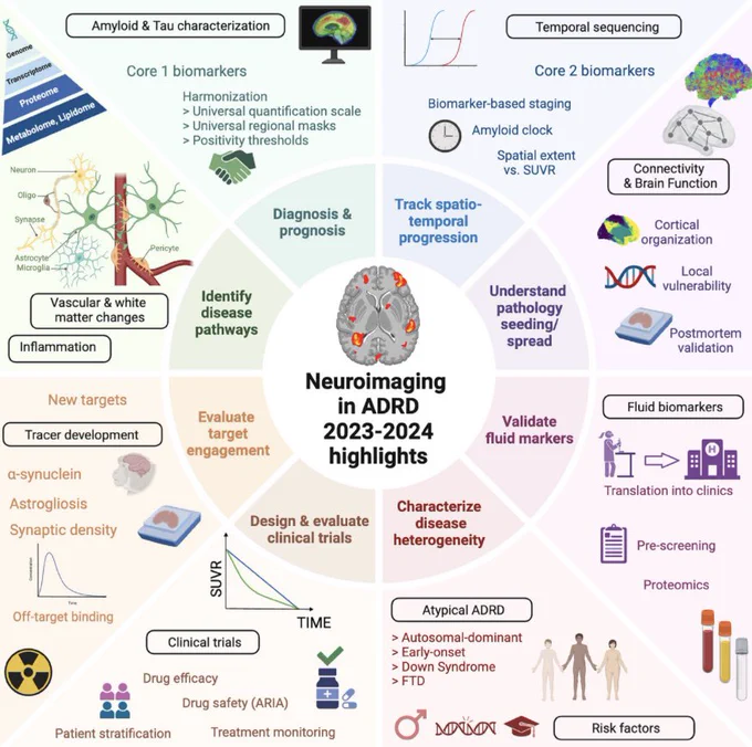 Neuroimaging highlights in Alzheimer’s disease