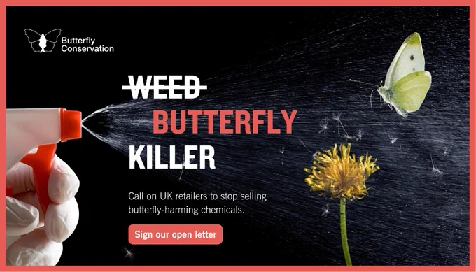 A hand wearing a white glove, spraying pesticides over a yellow flower and white butterfly, set against a black background. Large text overlay has the word 'weed' crossed out and 'Butterfly Killer' underneath. Smaller text below reads: 'Call on UK retailers to halt the sale of butterfly-harming chemicals. Sign our open letter.' Butterfly Conservation logo features at the top of the graphic.