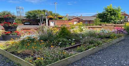 Picture of bedding plants beside train station