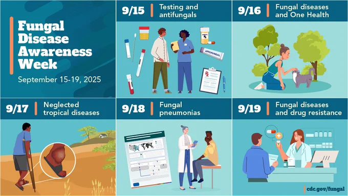 A series of images showing the dates and themes of the fungal disease awareness week. Text reads, “9/15- Testing and antifungals, 9/16- Fungal diseases and One Health, 9/17- Neglected Tropical Diseases, 9/18- Fungal pneumonias, 9/19- The future of fungal diseases.” 