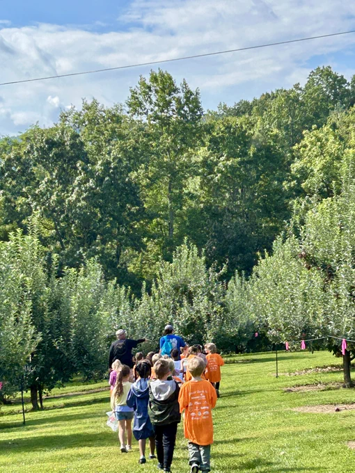students are walking through a grove of trees. there is blue sky and clouds in the background