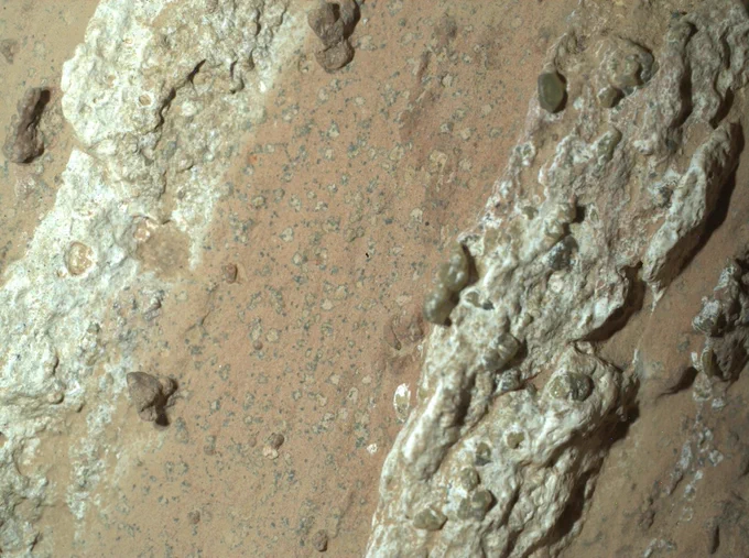 A close-up photo of layered rocks. Between two layers, in reddish mudstone, are small, dark spots, slightly lighter at the middle of each spot. Credit: NASA/JPL-Caltech/MSSS