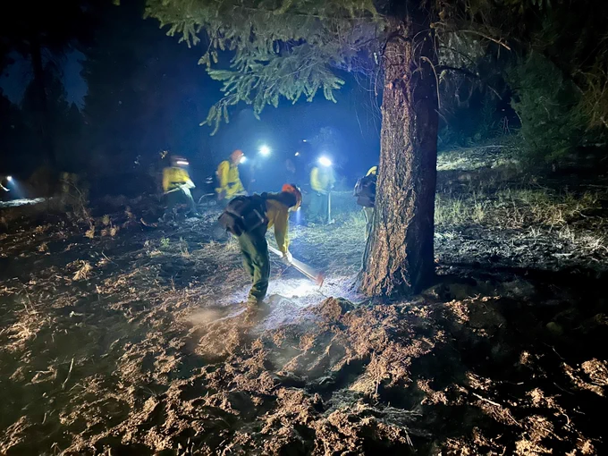 Firefighters wearing protective gear and head lamps work at night under a tree.