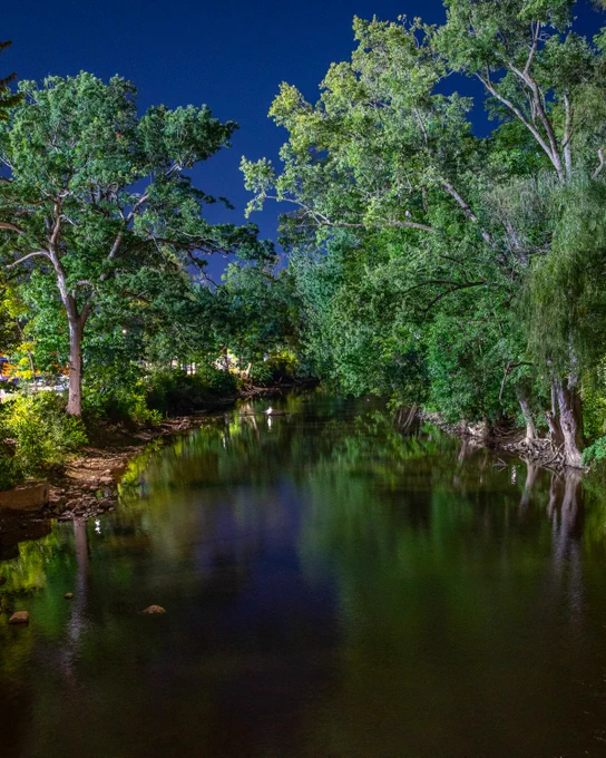 Night scene of a calm Red Cedar River reflecting trees under a dark blue sky. Lush green foliage lines the banks, with hints of light from campus buildings. The water's surface mirrors the surrounding greenery and sky.