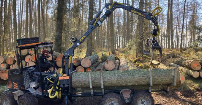 Low impact forwarder unloading high quality larch sawlogs