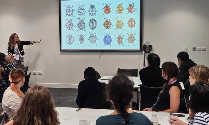 Emily Carter presenting variations of insect drawings on a slide to a room of delegates