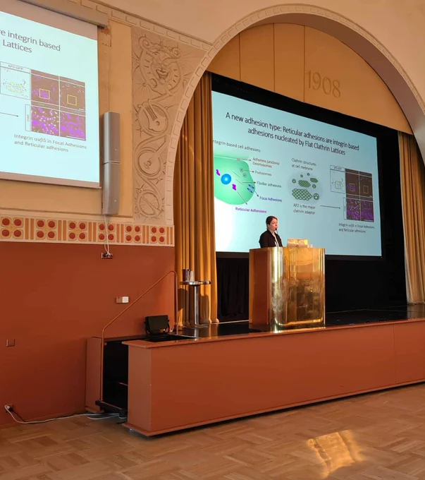 Short talk by Laura Hakanpää, PhD.