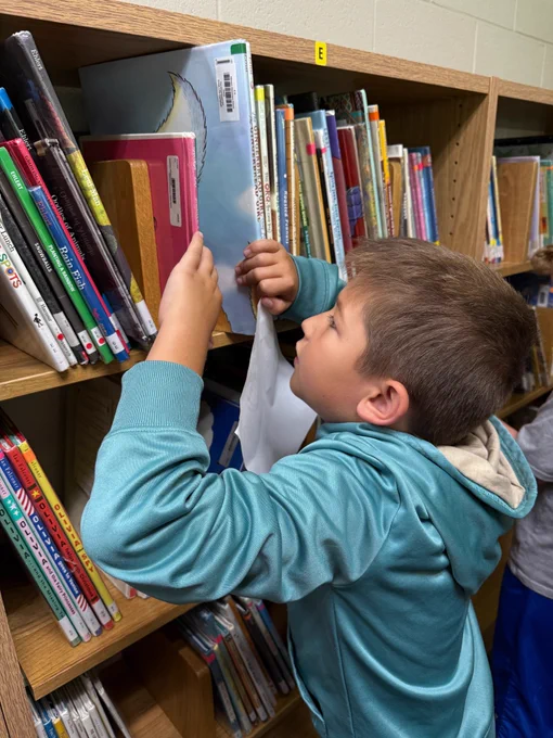boy looks for a book on the easy readers shelf