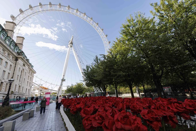 A large collection of handmade red roses in front of the London Eye.