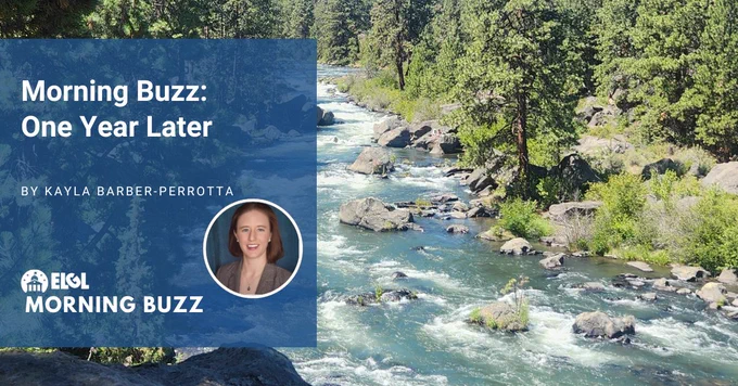 A river with small rapids flows around rocks, with trees, plants, and more rocks on either side. An overlay includes an accompanying article title, "Morning Buzz: One Year Later;" the author and headshot, "By Kayla Barber-Perrotta;" and the ELGL Morning Buzz logo.