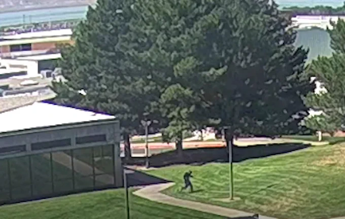 Person walking alone on a winding concrete path through a grassy area near a modern building with large windows and tall pine trees.