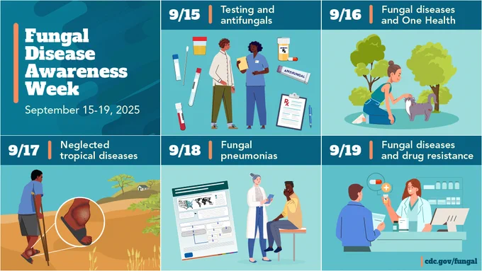 A series of images showing the dates and themes of the fungal disease awareness week. Text reads, “9/15- Testing and antifungals, 9/16- Fungal diseases and One Health, 9/17- Neglected Tropical Diseases, 9/18- Fungal pneumonias, 9/19- The future of fungal diseases.” 