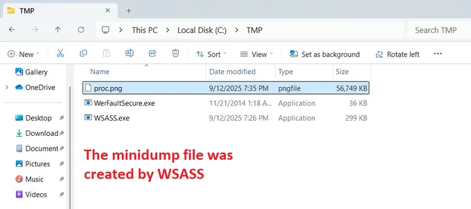 WSASS minidump file generated