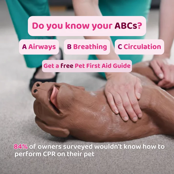 A vet dressed in teal scrubs performing CPR on a dummy dog with text that says 'do you know your ABC's?' followed by 'A airways, B breathing, C circulation' followed by 'get a free Pet First Aid Guide' followed by '84% of owners surveyed wouldn't know how to perform CPR on their pet.'