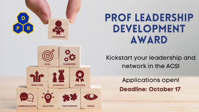 A flyer for ACS Division of Professional Relations (PROF), showing a hand organizing small cubes to make a pyramid. Wooden cubes have engraved text and shapes to show elements of professional growth. The flyer has text, reads as "PROF Leadership development award" Kickstart your leadership and network in the ACS! 