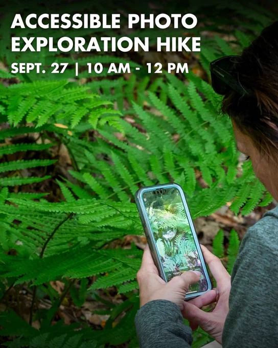 A photo of a person taking a picture of ferns in a forest with a cell phone. Text on the photo reads: Accessible Photo Exploration Hike, September 27, 10 am to 12 pm. 