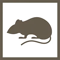 Rodent Icon