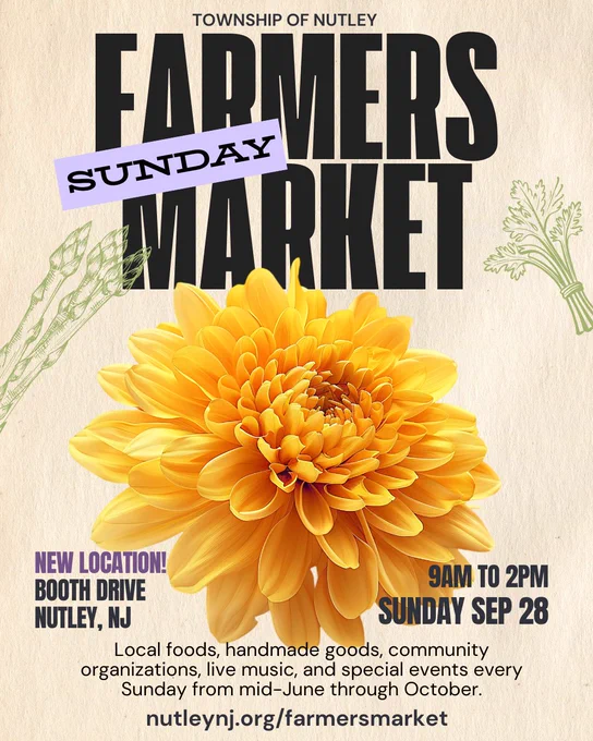 Yellow Mum | Township of Nutley Farmers Market, Booth Drive, Nutley, NJ | Sundays 9am-2pm from mid-June through October